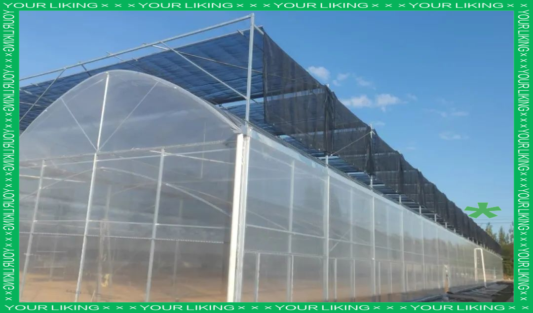 連棟薄膜溫室大棚項目火熱施工中，大棚薄膜技術助力現代農業